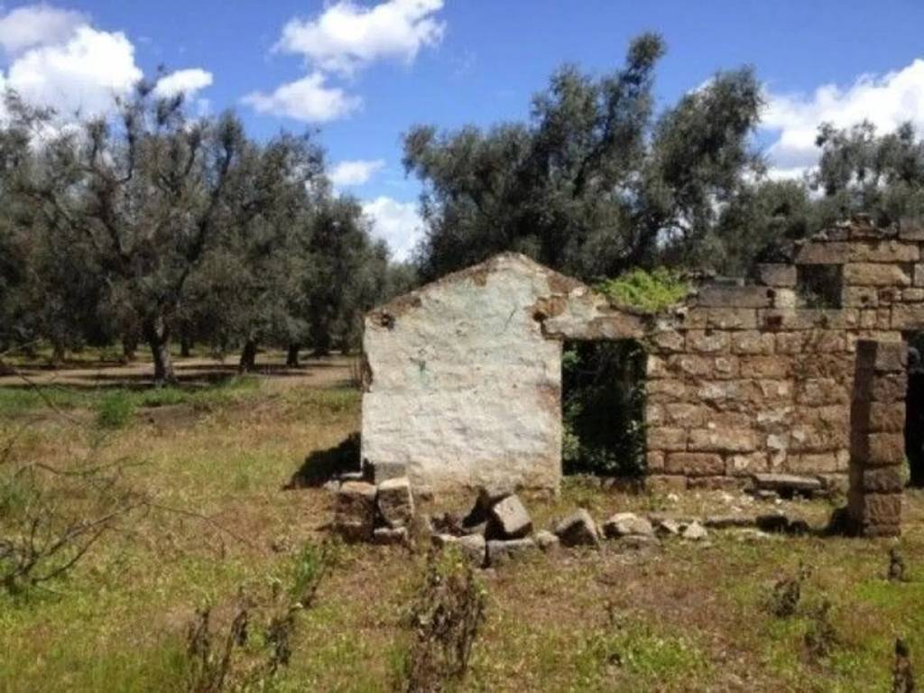 immagine annuncio 2 di 4