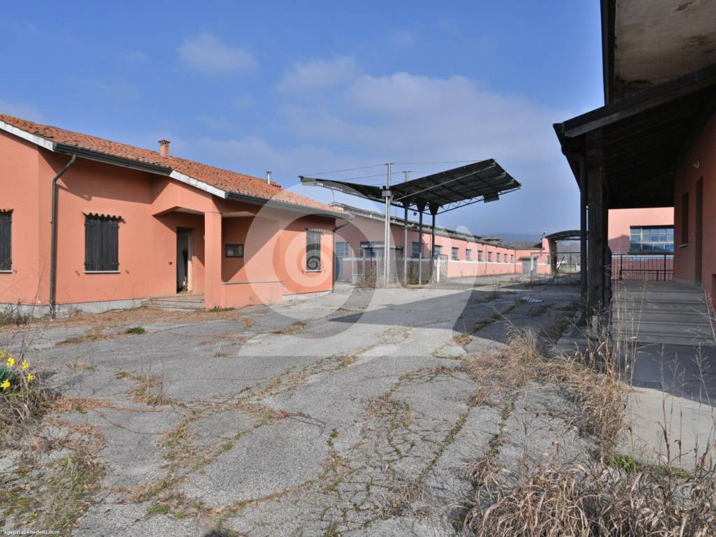 immagine annuncio 1 di 5