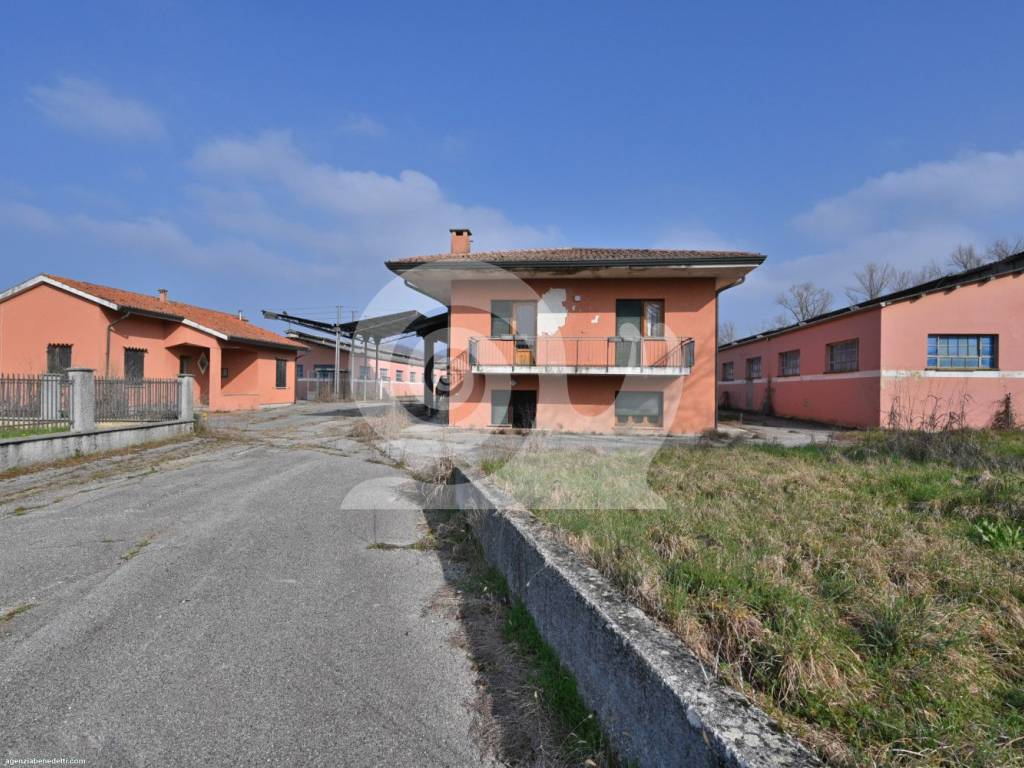 immagine annuncio 3 di 5