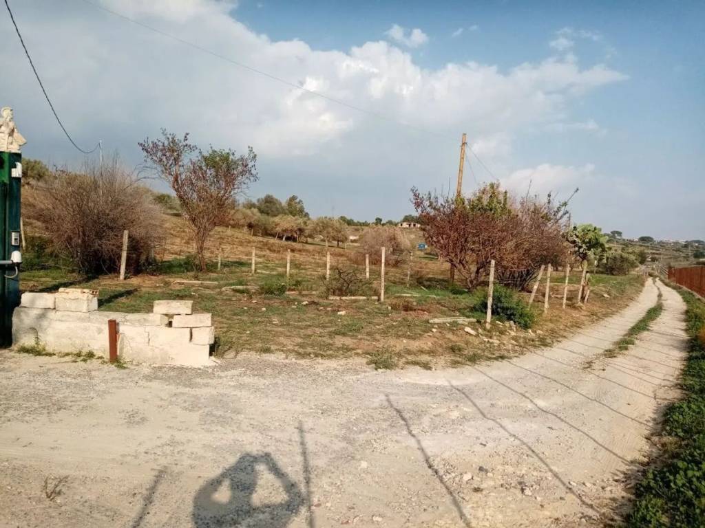 immagine annuncio 3 di 4