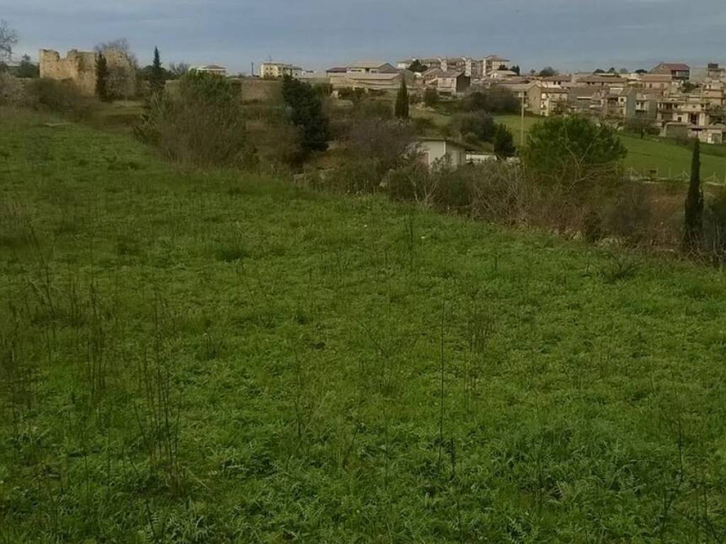 immagine annuncio 2 di 4