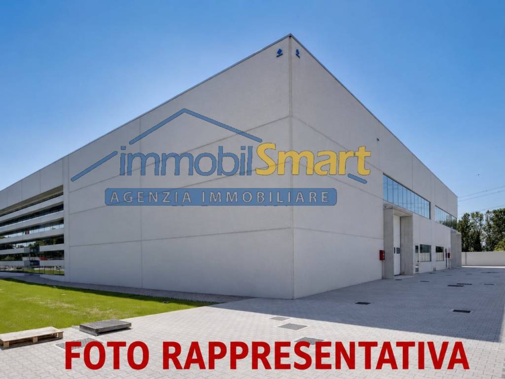 immagine annuncio 1 di 5