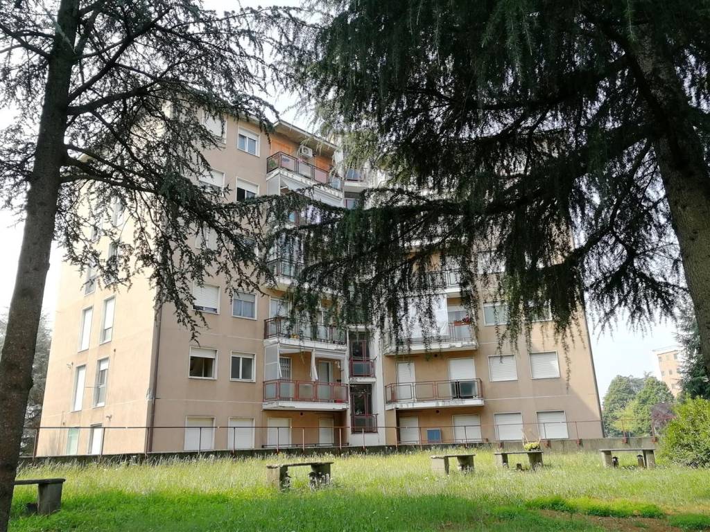 immagine annuncio 3 di 5
