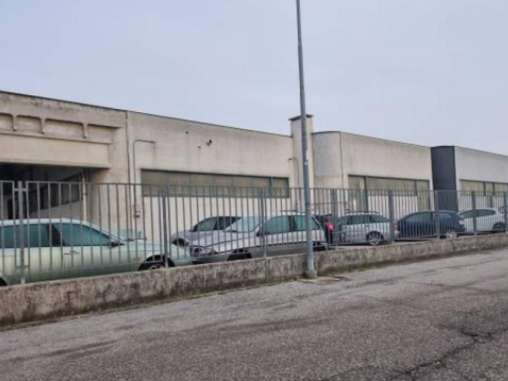 immagine annuncio 2 di 5
