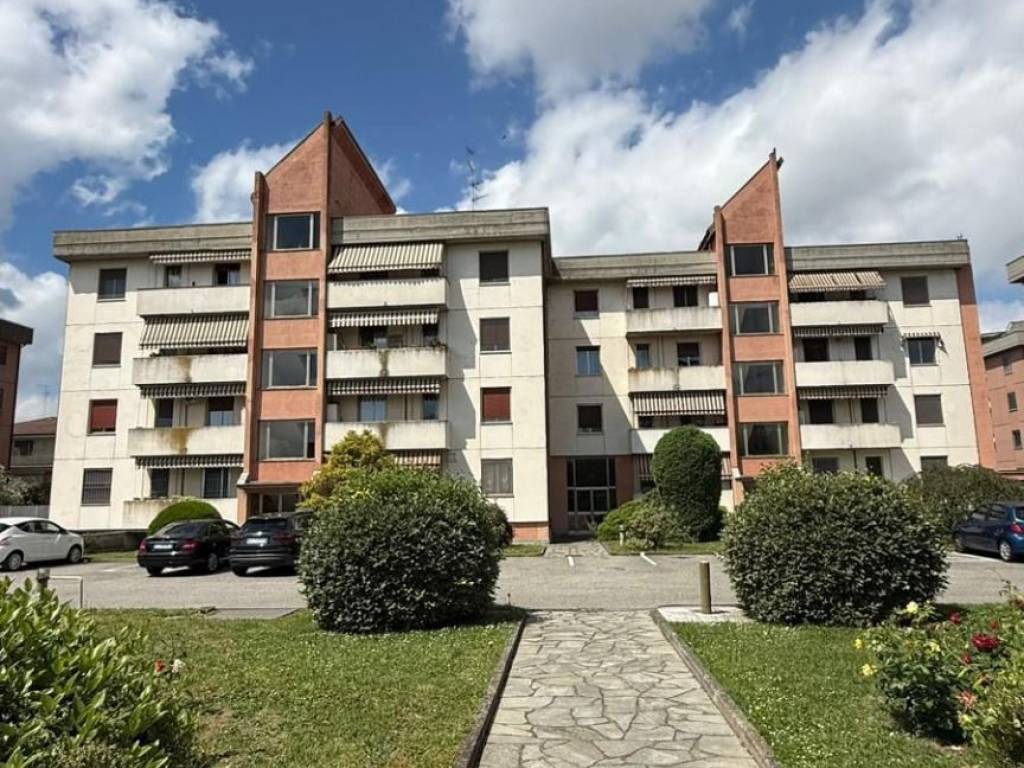 immagine annuncio 2 di 5