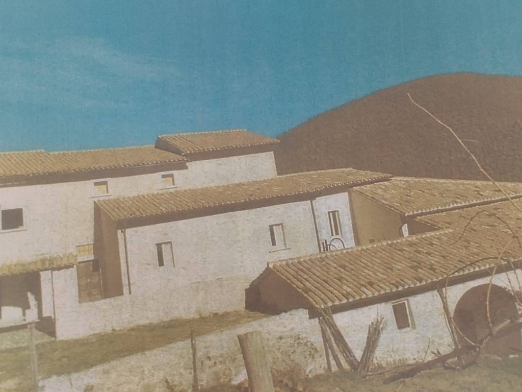 immagine annuncio 3 di 4