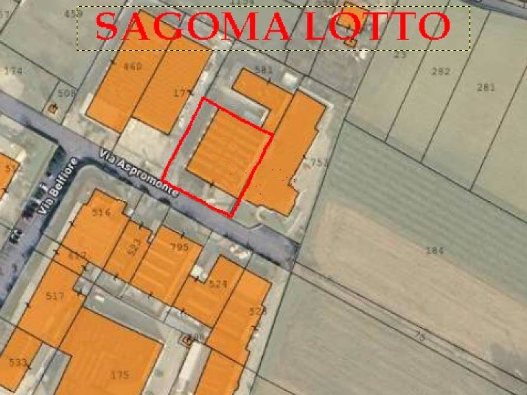 immagine annuncio 1 di 5