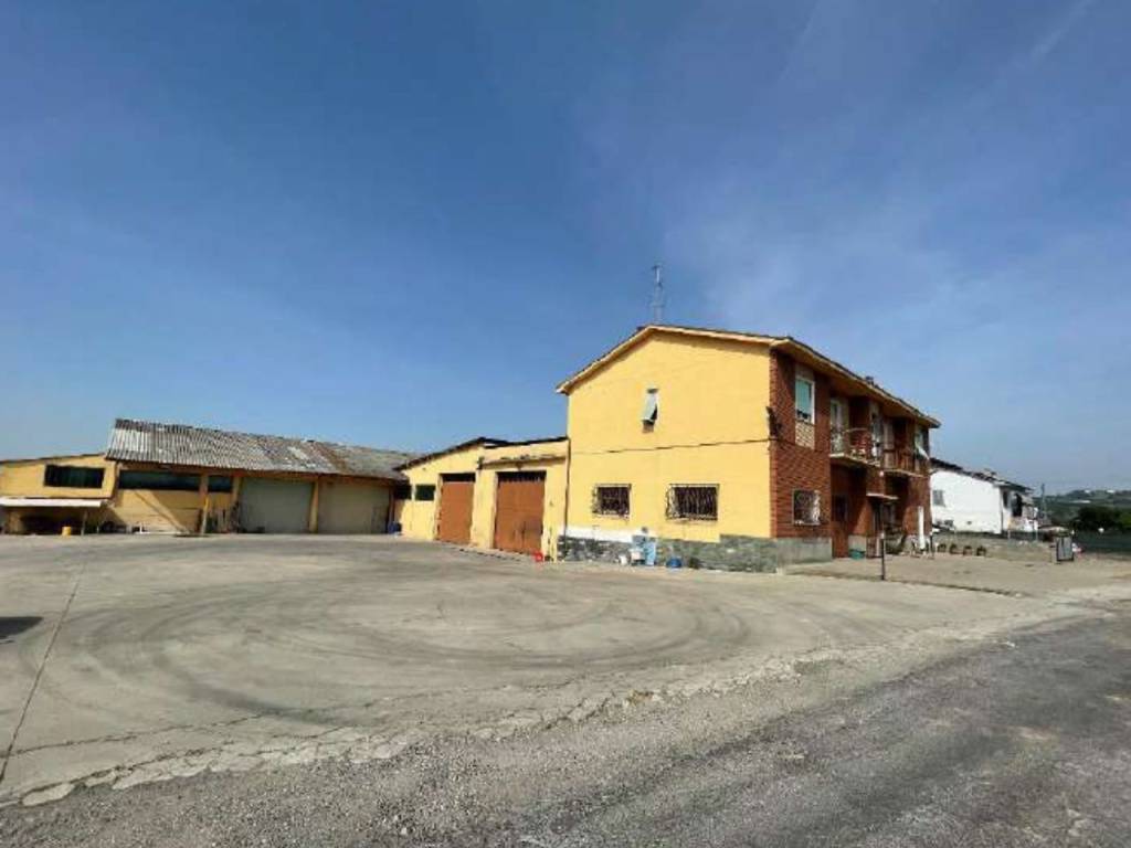 immagine annuncio 1 di 5