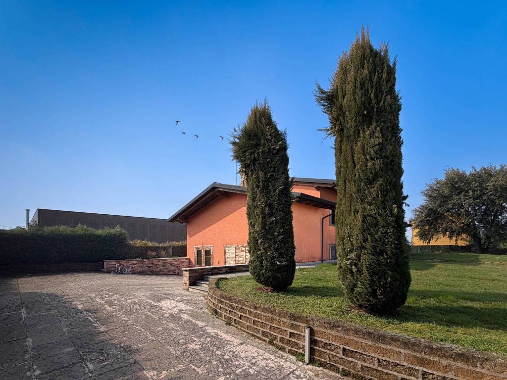 immagine annuncio 4 di 5