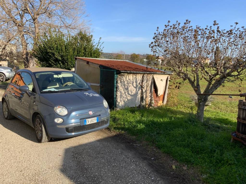 immagine annuncio 2 di 5