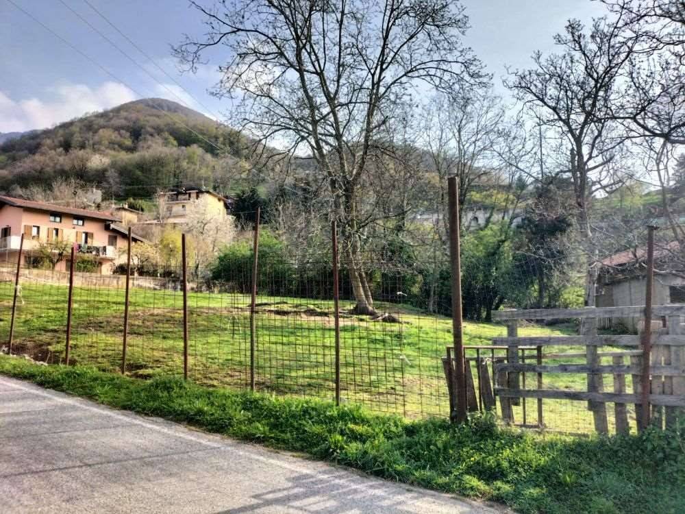 immagine annuncio 2 di 4