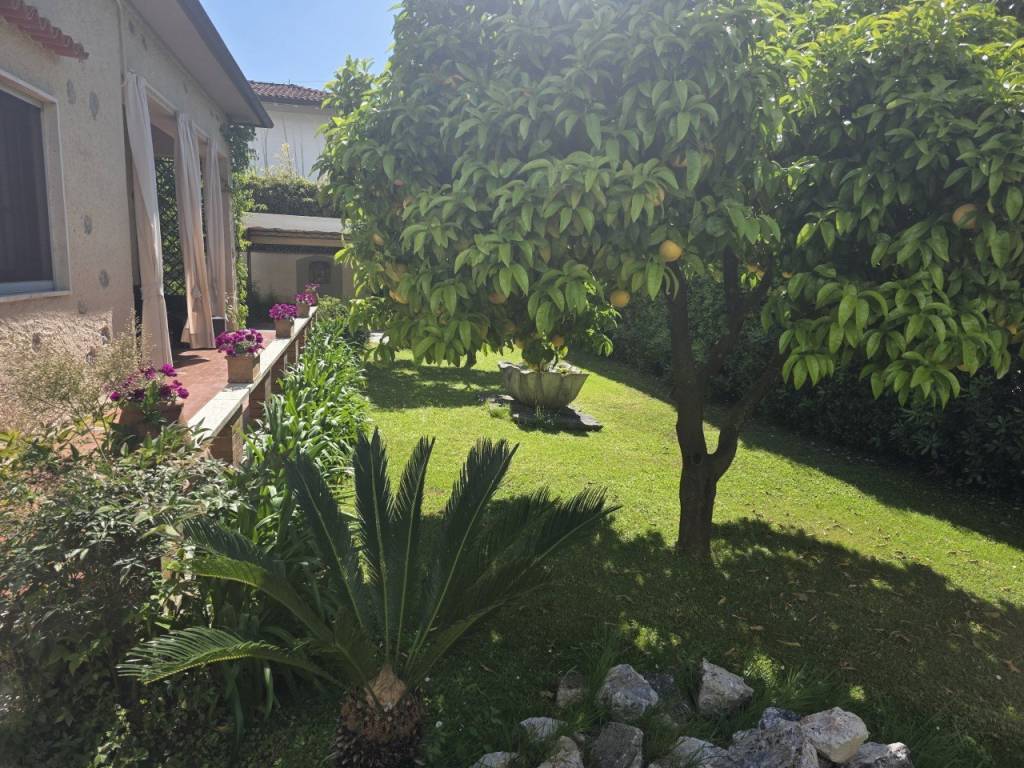 immagine annuncio 2 di 4