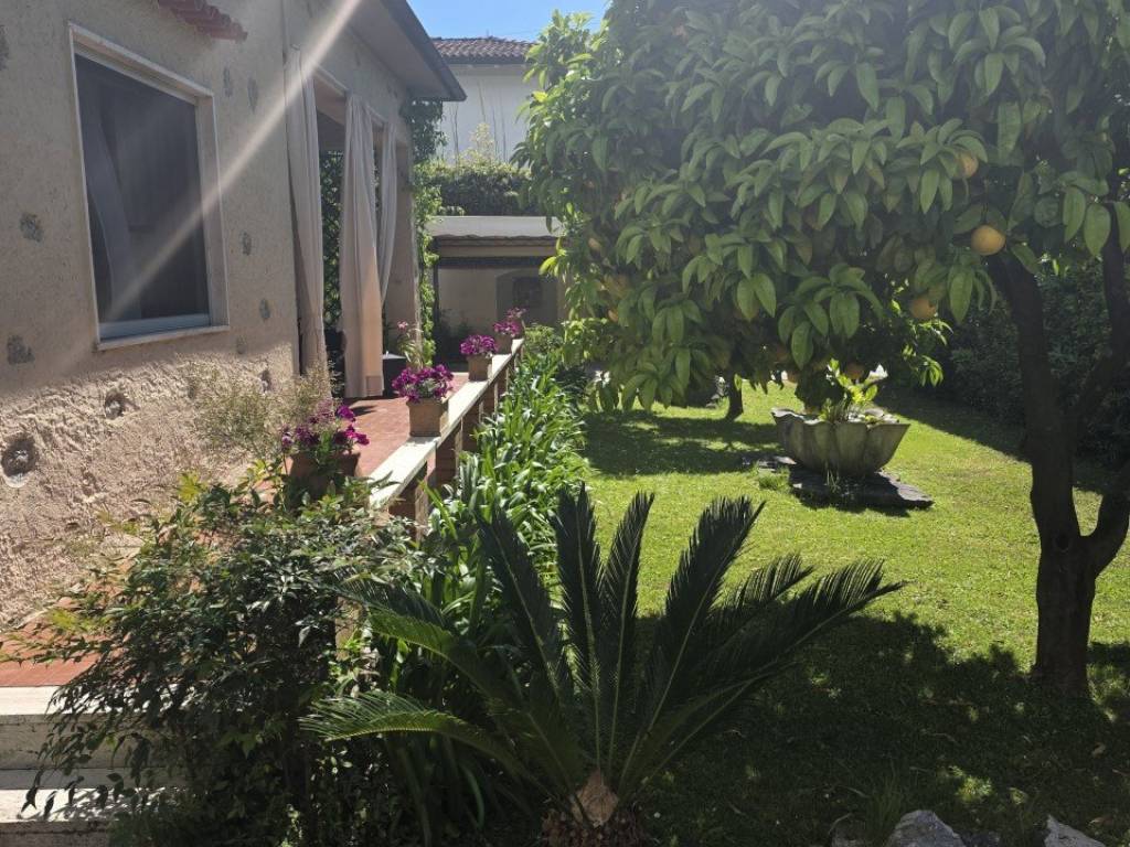 immagine annuncio 3 di 4