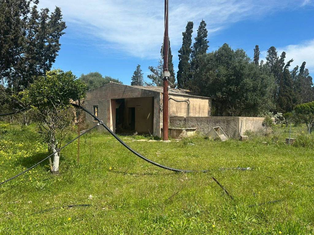immagine annuncio 2 di 4