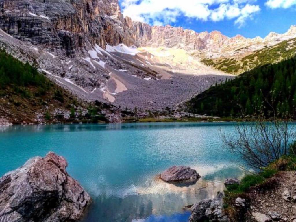 immagine annuncio 1 di 2
