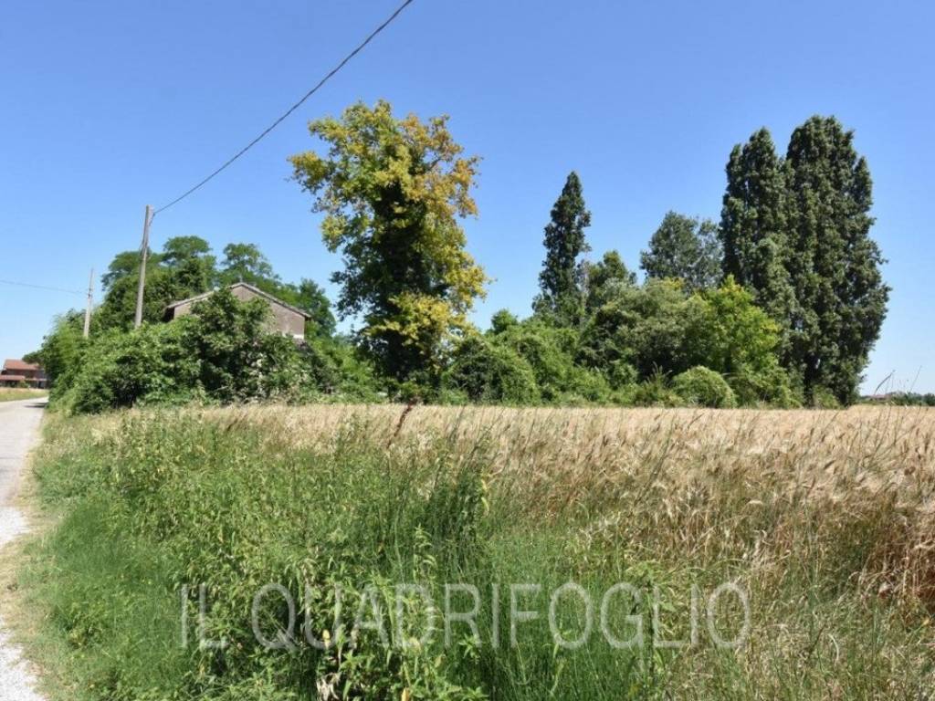 immagine annuncio 3 di 4