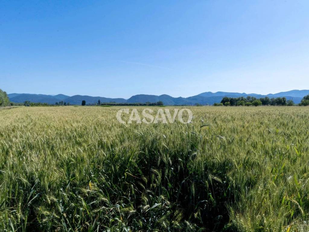 immagine annuncio 2 di 3
