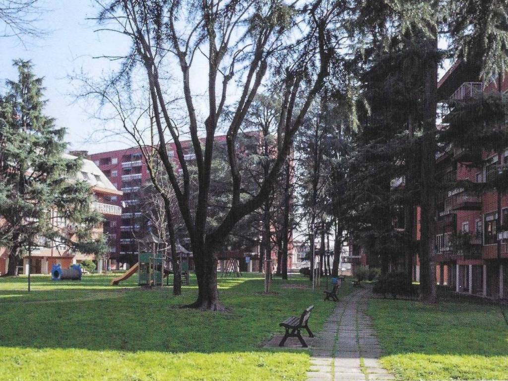 immagine annuncio 3 di 5