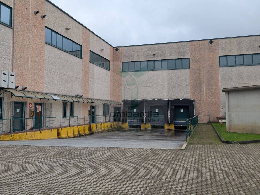 immagine annuncio 2 di 5