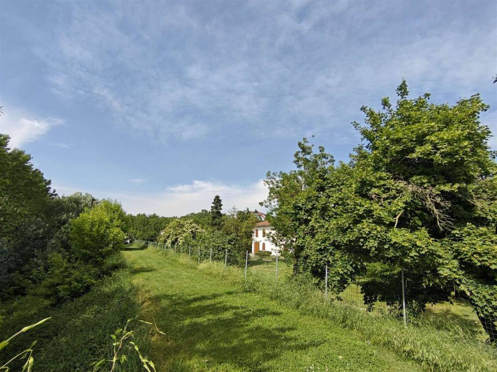 immagine annuncio 3 di 4