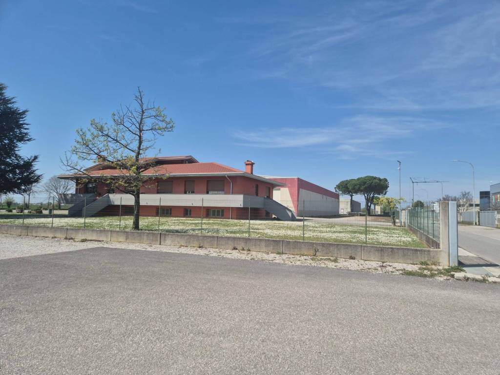 immagine annuncio 3 di 5