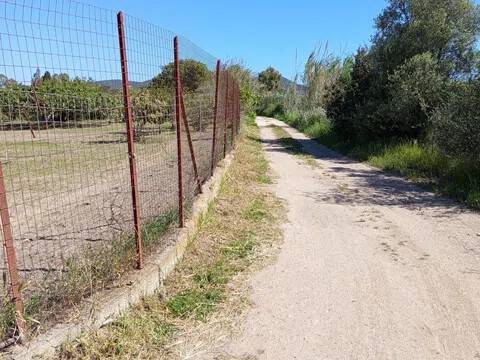 immagine annuncio 2 di 4