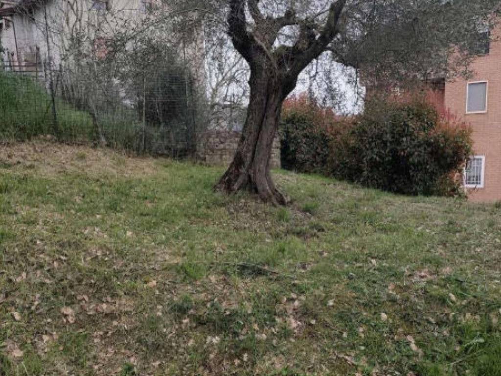 immagine annuncio 2 di 4