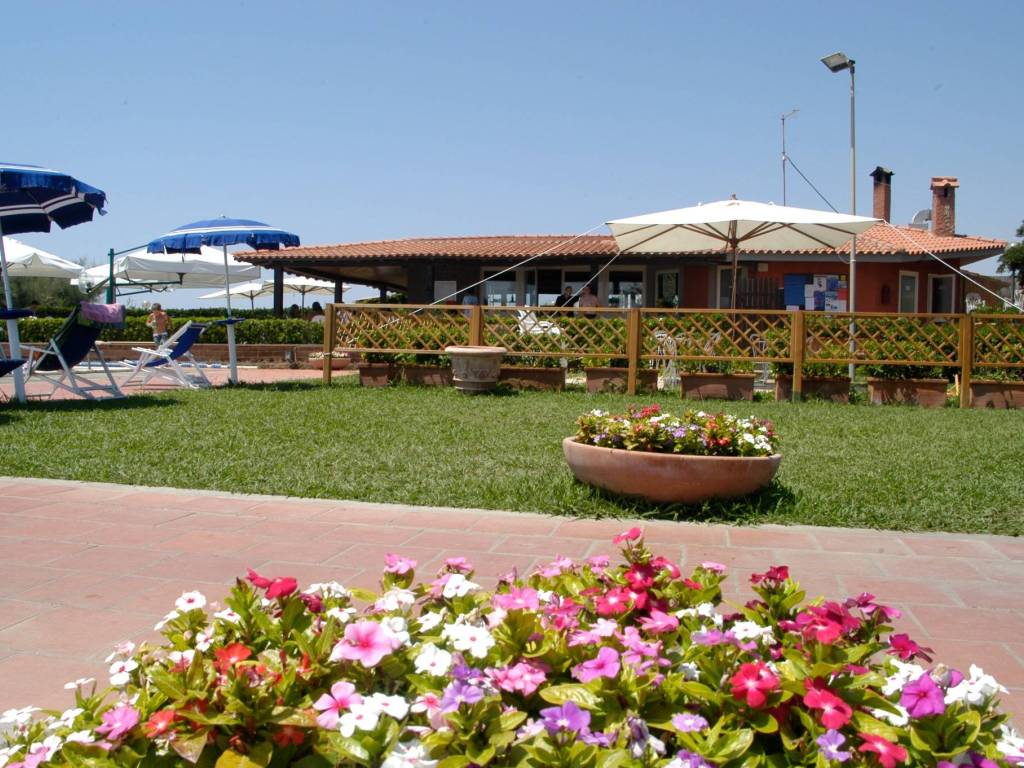 immagine annuncio 1 di 4