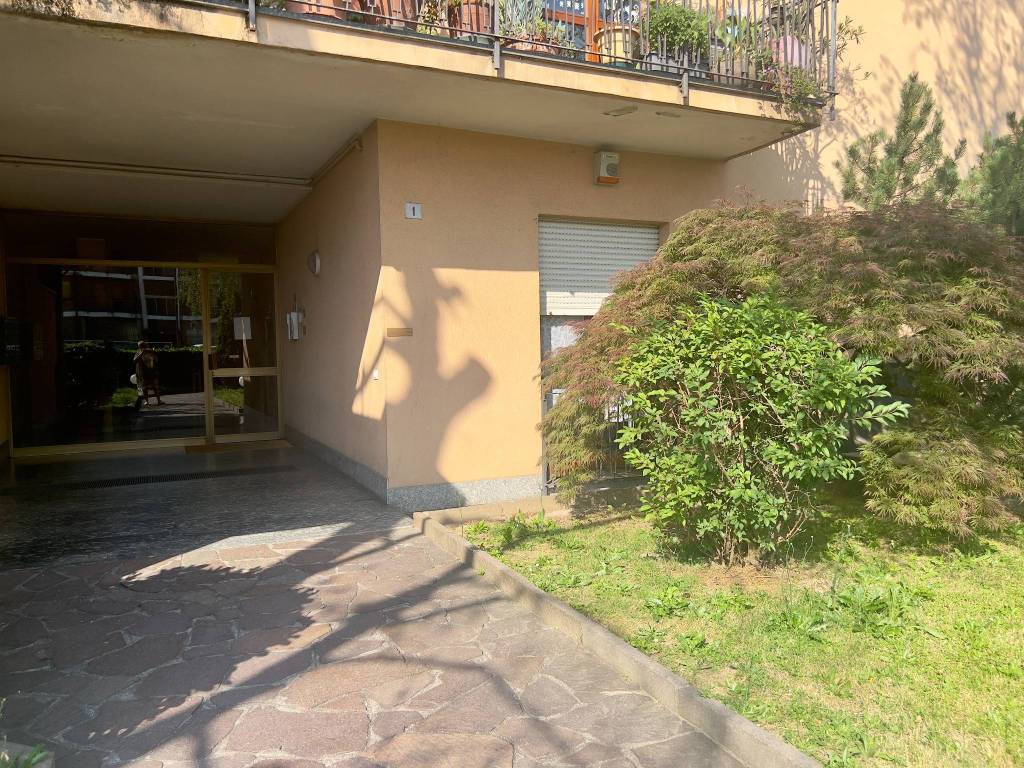 immagine annuncio 2 di 5