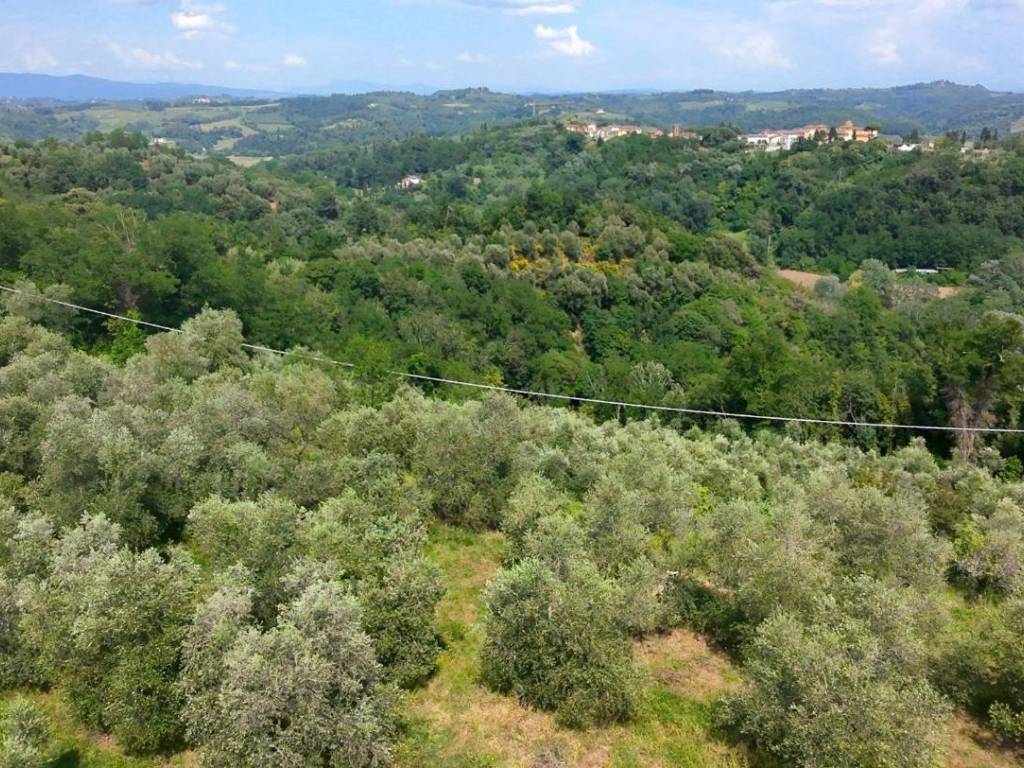 immagine annuncio 2 di 3