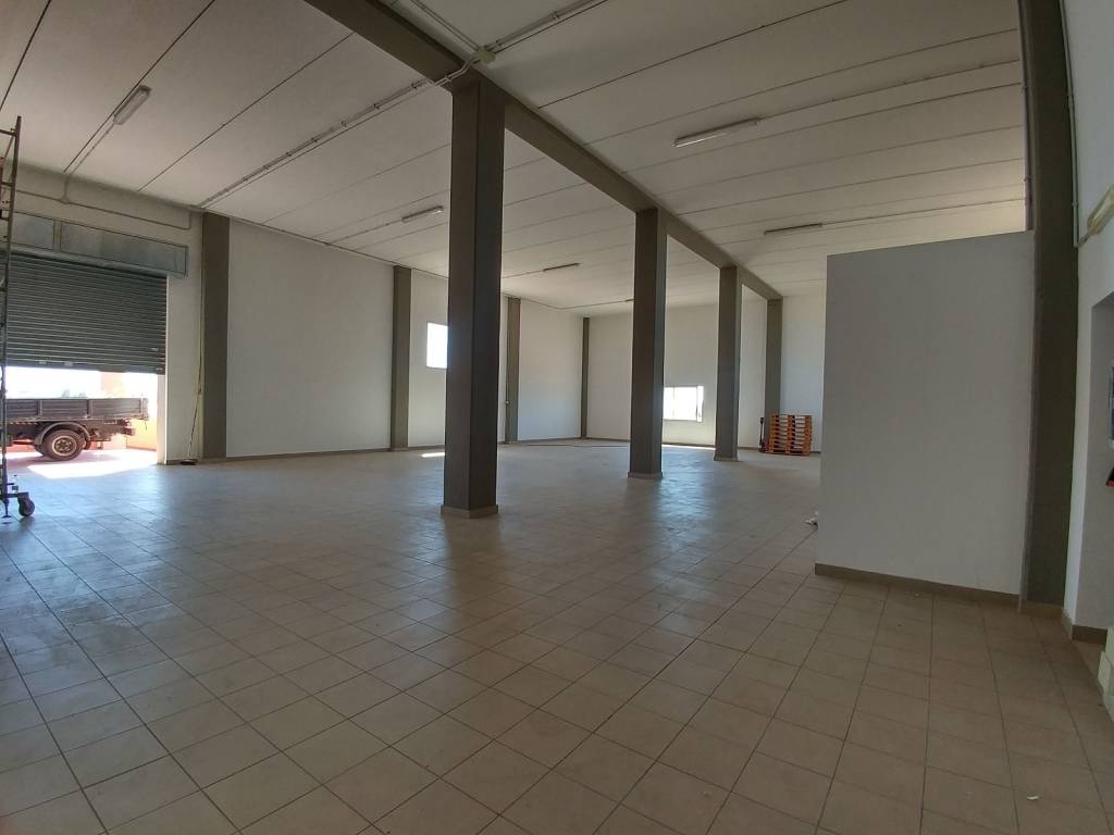 immagine annuncio 1 di 4