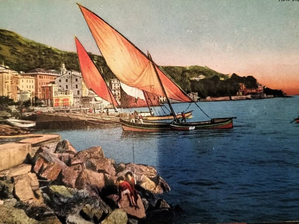 immagine annuncio 2 di 3
