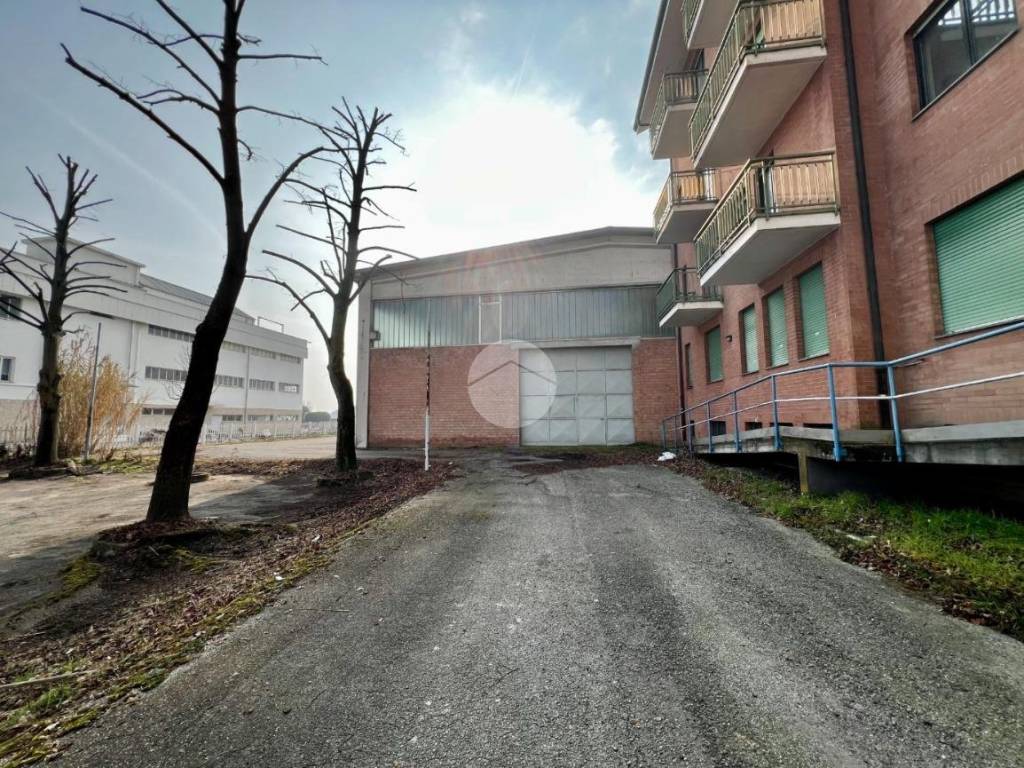 immagine annuncio 2 di 5