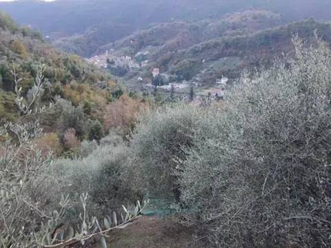 immagine annuncio 3 di 4