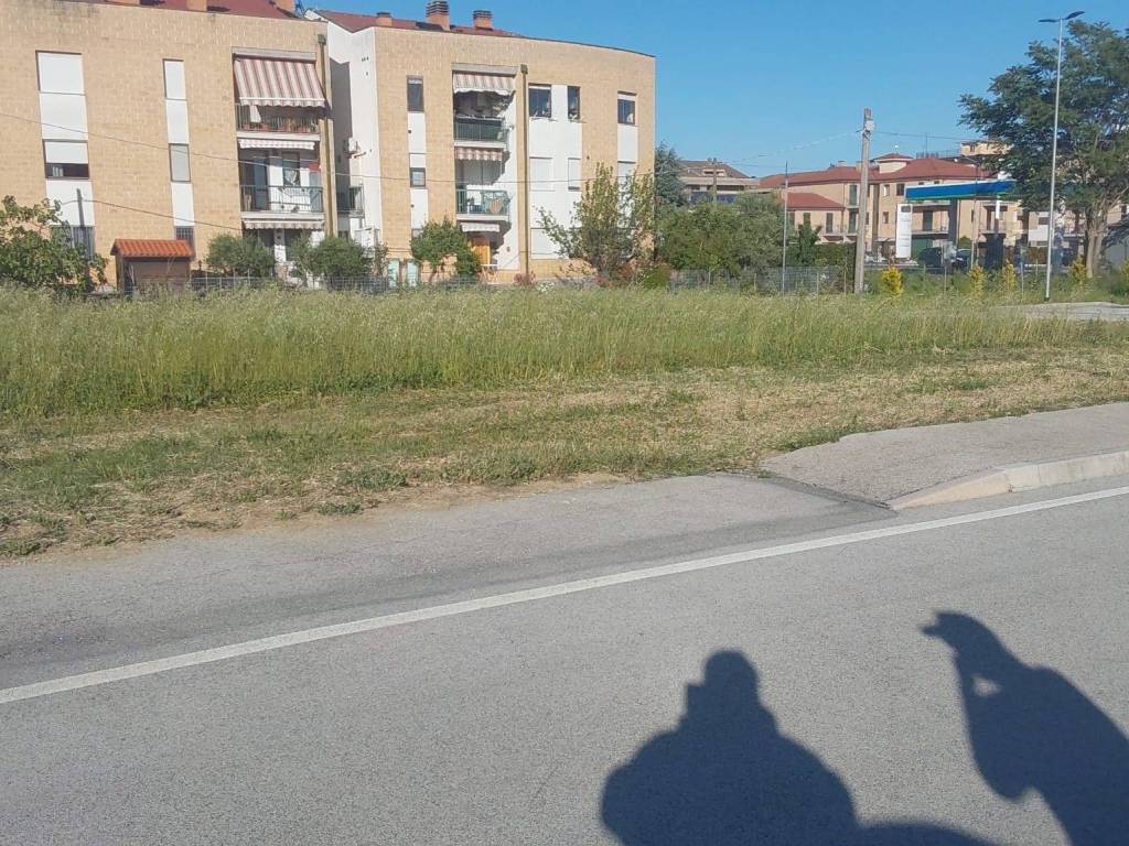 immagine annuncio 1 di 3