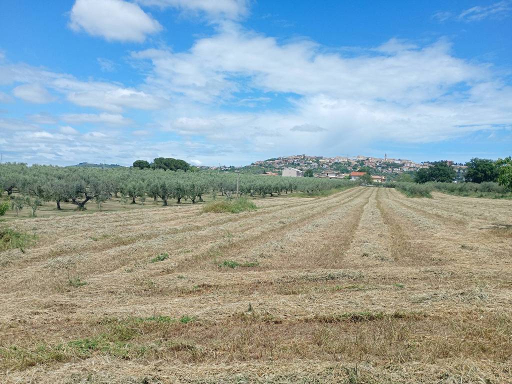 immagine annuncio 3 di 4