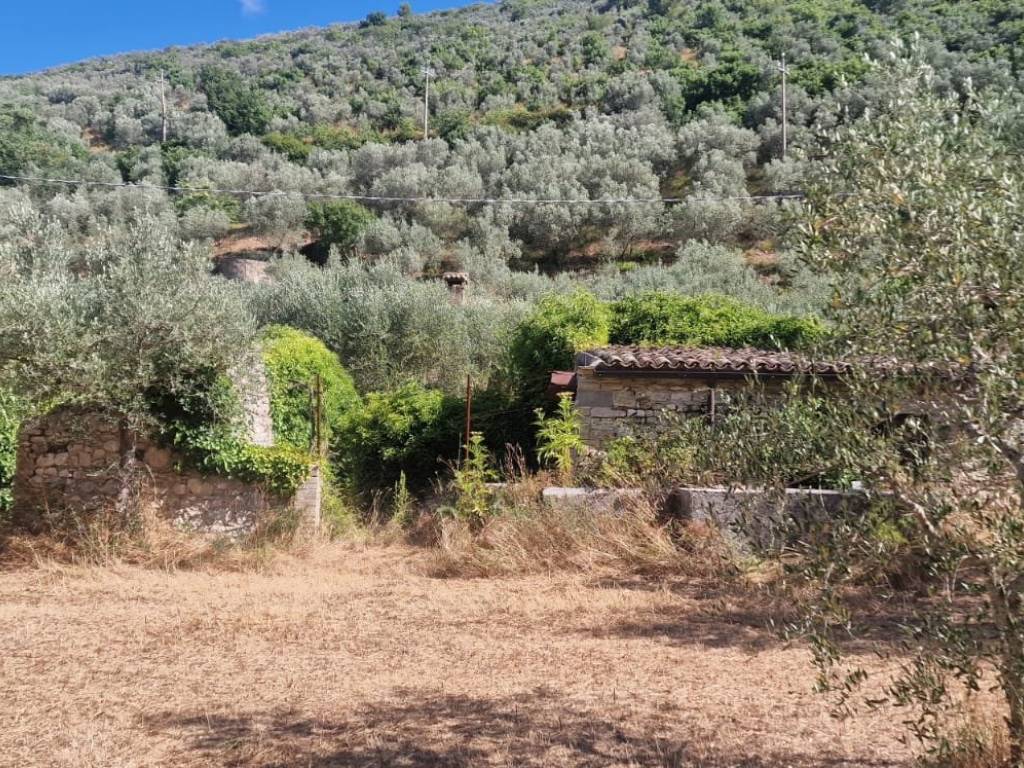 immagine annuncio 2 di 4