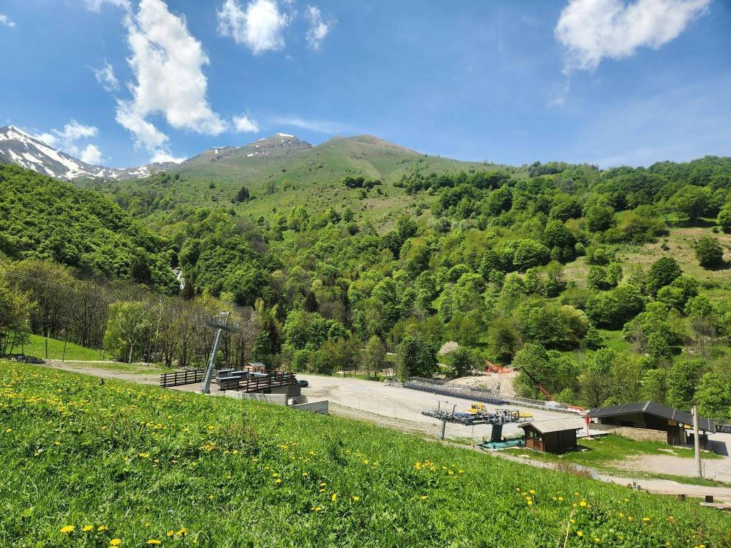 immagine annuncio 2 di 5