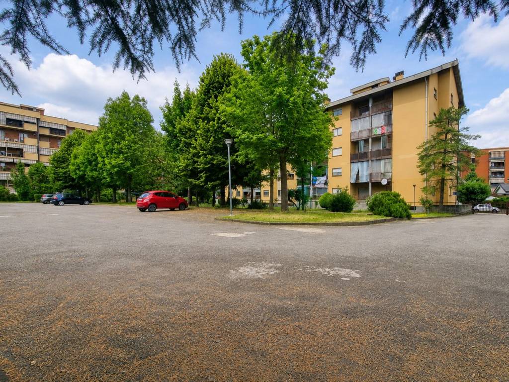 immagine annuncio 2 di 5