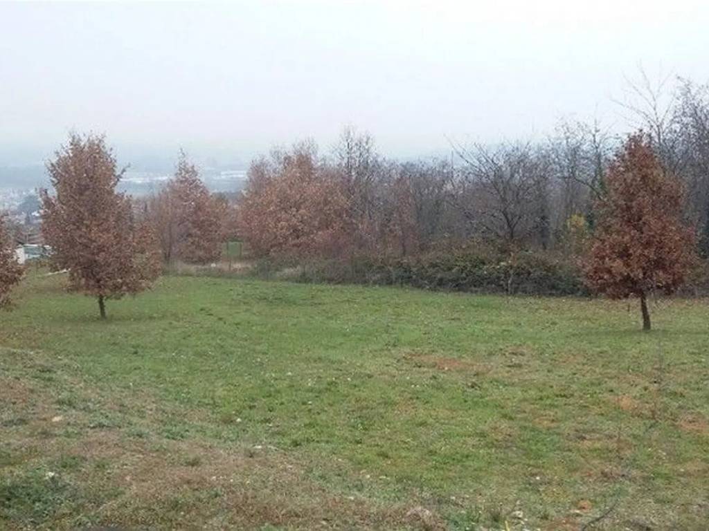 immagine annuncio 1 di 2