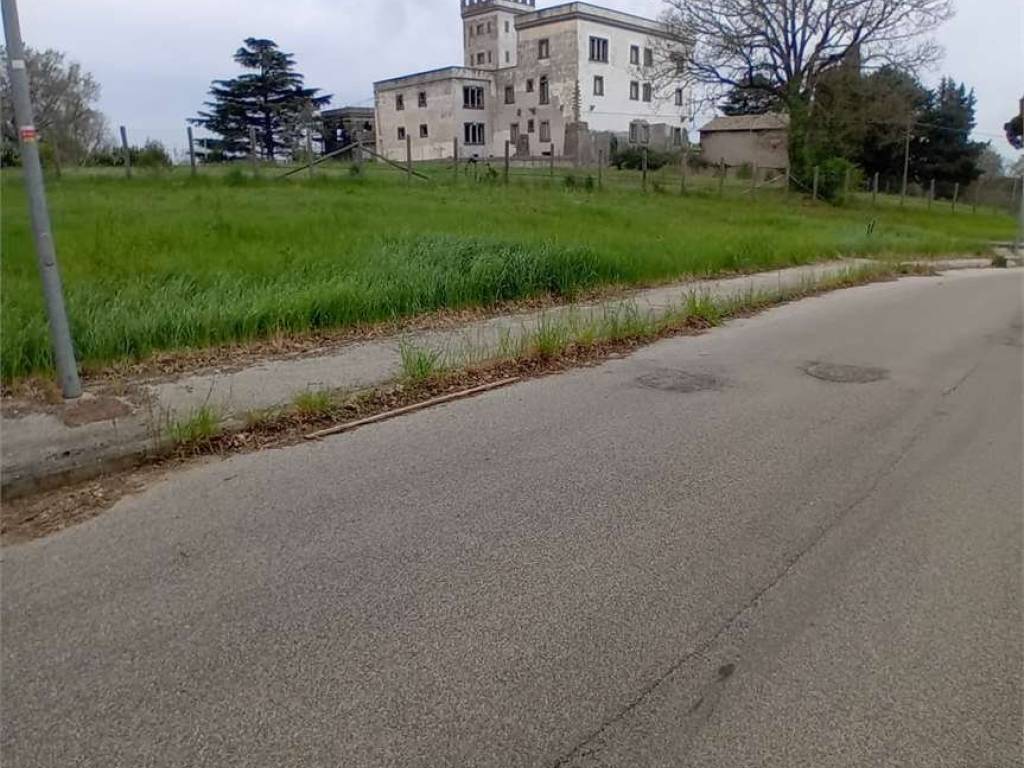 immagine annuncio 1 di 2