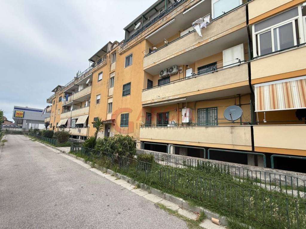 immagine annuncio 1 di 4