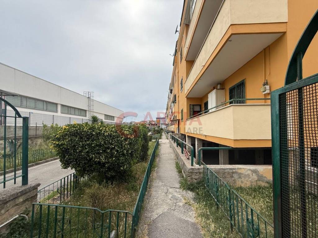 immagine annuncio 2 di 4