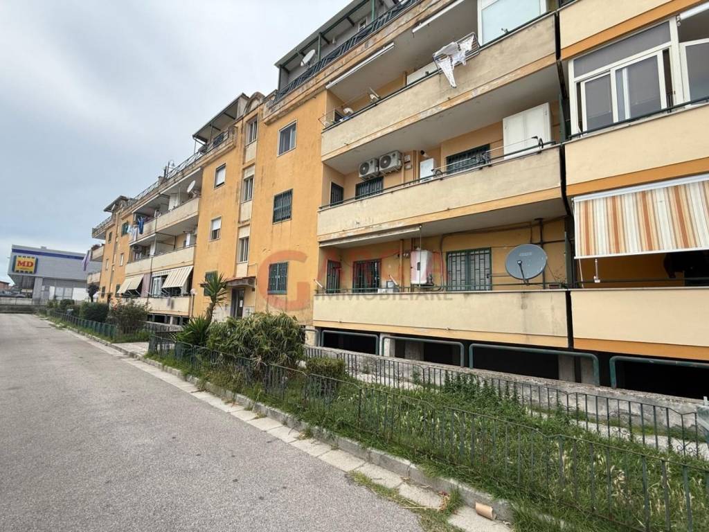 immagine annuncio 3 di 4