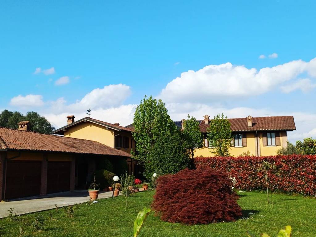 immagine annuncio 4 di 5