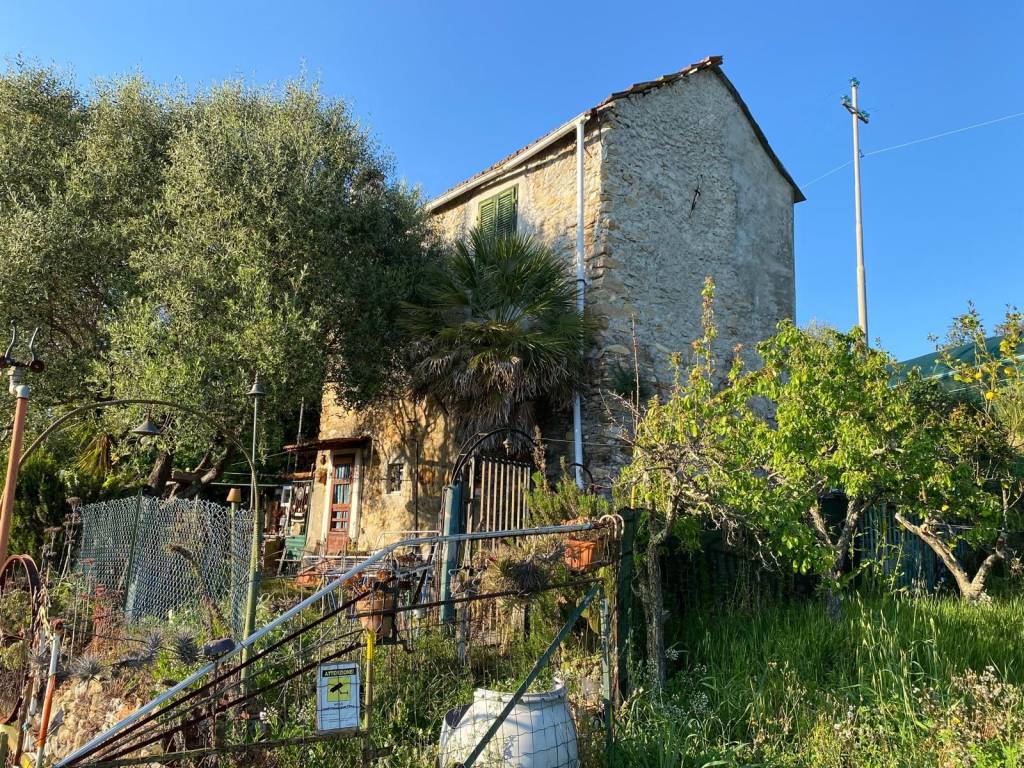 immagine annuncio 2 di 3