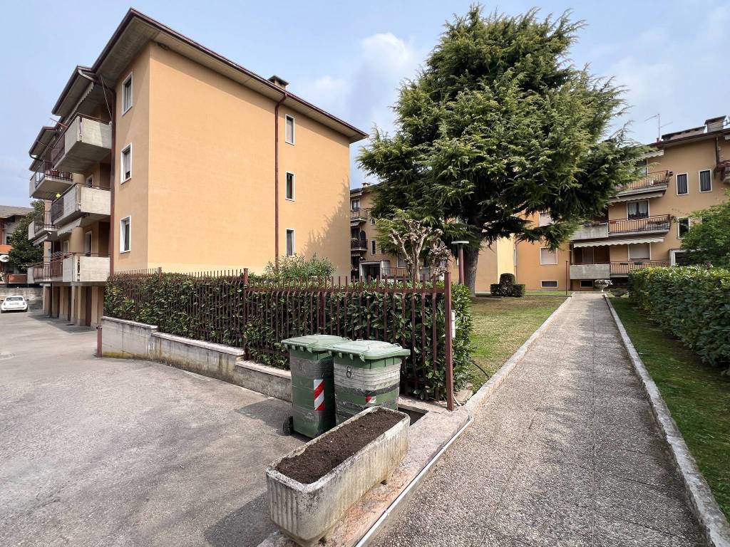 immagine annuncio 2 di 5