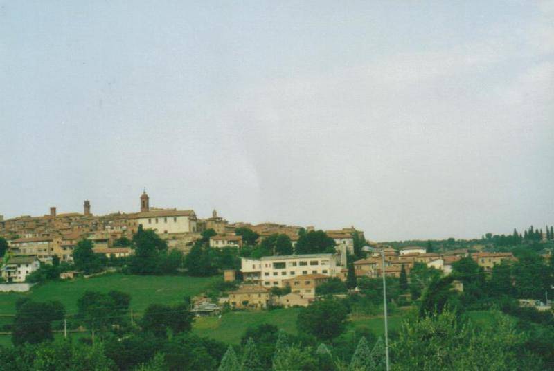 immagine annuncio 2 di 4