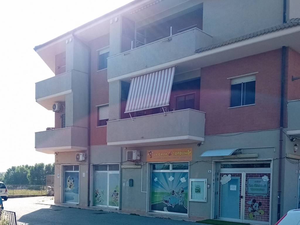 immagine annuncio 1 di 5