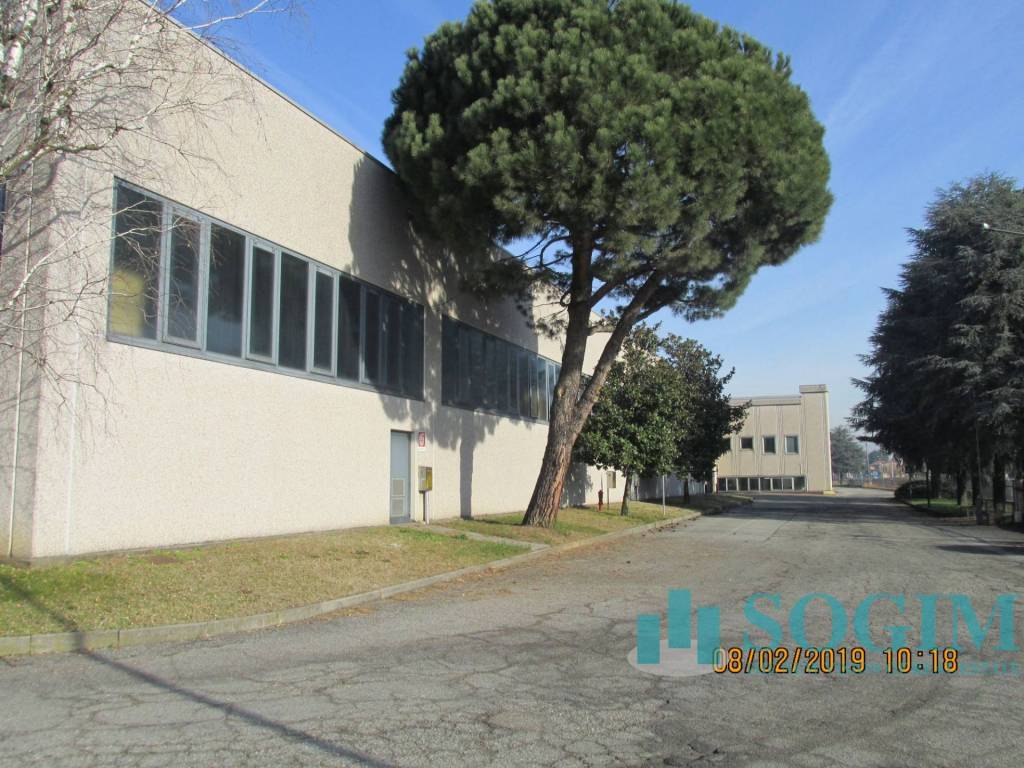 immagine annuncio 1 di 5
